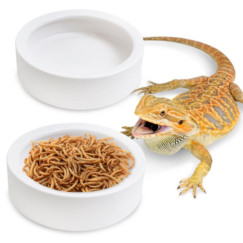 Tfwadmx 2 Pack Reptile Food Bowl, Ceramic Water Feeder Bowl, Reptile Worm Feeding Dish for Lizard Turtle Bearded Dragon Anoles Crested Gecko Hermit Crab Leopard Gecko Chameleon Corn Snake - Image 1