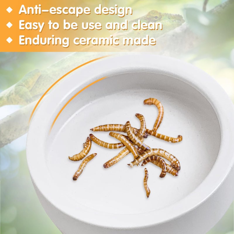 Tfwadmx 2 Pack Reptile Food Bowl, Ceramic Water Feeder Bowl, Reptile Worm Feeding Dish for Lizard Turtle Bearded Dragon Anoles Crested Gecko Hermit Crab Leopard Gecko Chameleon Corn Snake - Image 3