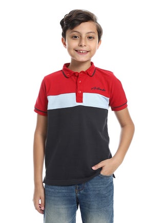 Boys Collared Neck Polo Shirt - pzsku/Z8C1650889CF54AA1B3F4Z/45/_/1714817396/cb84e4eb-4ac2-41f3-88c4-326d86586004