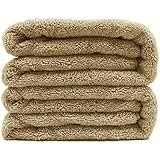 Polyte Premium Quick Dry Lint Free Microfiber Bath Sheet, Set of 2 (Beige, 35x70) - Image 1