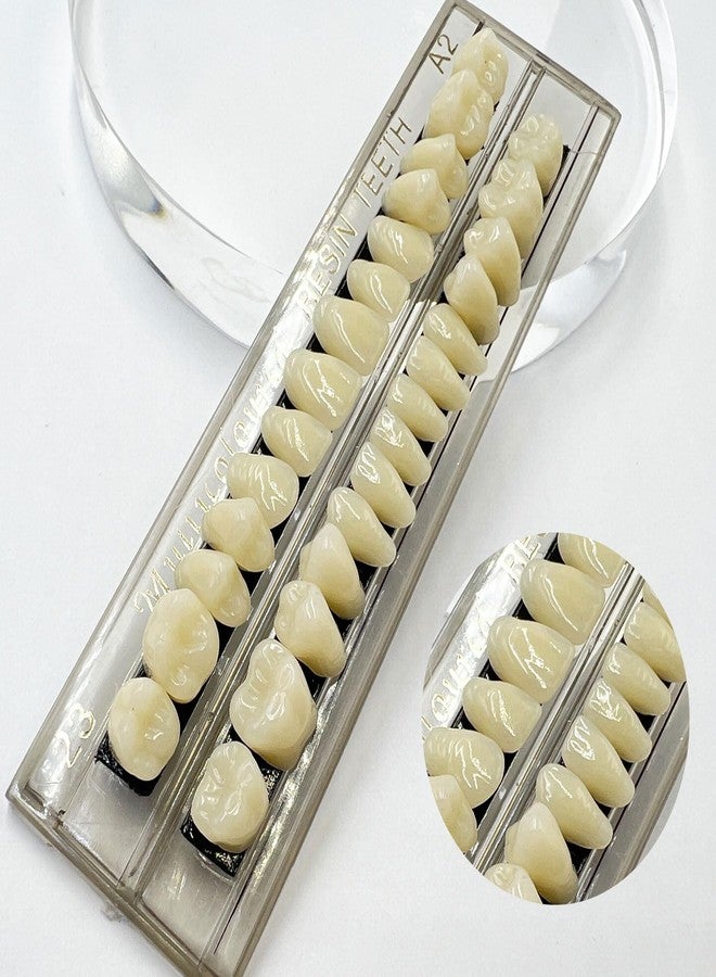HRASY 56 Pcs False Teeth Fake Teeth 2 Sets Synthetic Resin Dental Tooth, Upper and Lower Denture Tooth, Party Horror Prop Makeup DIY Replacement, 23 A2 - Image 5