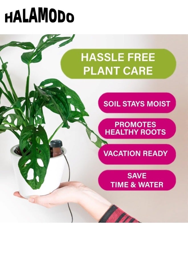 HALAMODO 2PCS Plant Watering Stakes Self Watering Planter Insert Automatic Watering Devices Self Watering Spikes Automatic Plant Waterer & Plant Accessories for Indoor Outdoor  - Image 3