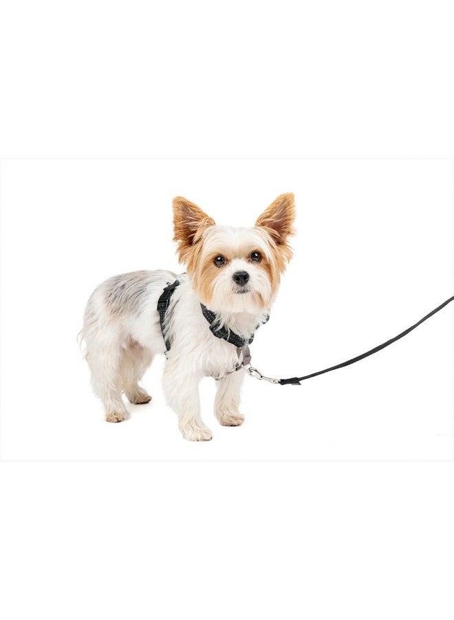 بيت سيف حزام كلب 3 في 1 من PetSafe - حل مانع للسحب للكلاب - حزام كلب عاكس - مشبك أمامي على شكل حرف D يساعد على إيقاف السحب - أحزمة مبطنة مريحة - مقبض علوي يعزز التحكم - أسود - صغير جدًا - Image 1