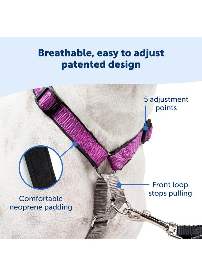 بيت سيف حزام كلب 3 في 1 من PetSafe - حل مانع للسحب للكلاب - حزام كلب عاكس - مشبك أمامي على شكل حرف D يساعد على إيقاف السحب - أحزمة مبطنة مريحة - مقبض علوي يعزز التحكم - أسود - صغير جدًا - Image 4