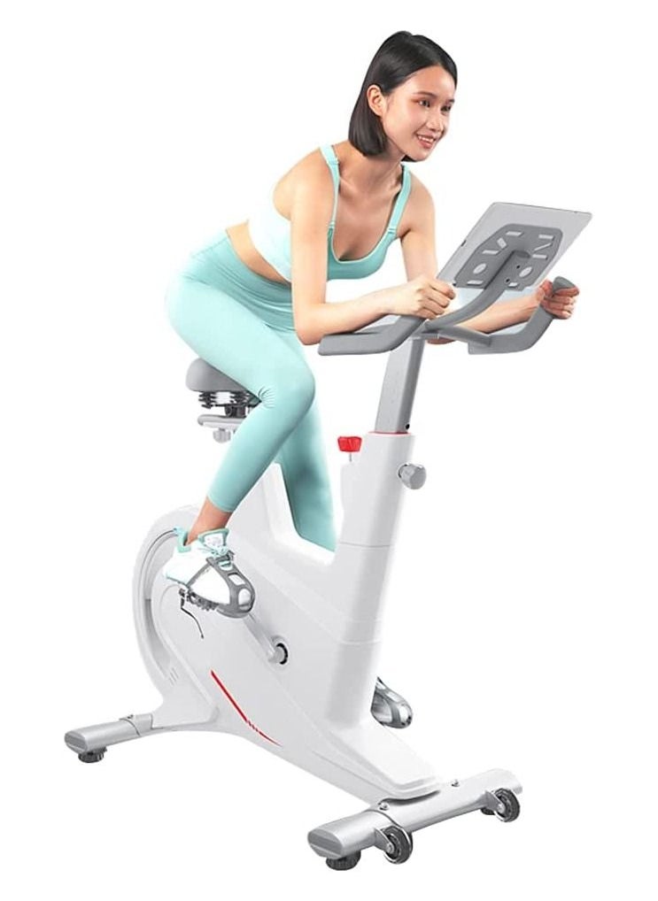 Generic Dynamic Indoor Cycling Exercise Bike with 14 LB Flywheel Stationary Bikes Ultra Quiet Fitness Bike and Abdominal Trainer  - Image 1