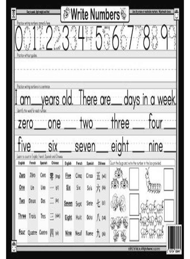 Tot Talk Count Bugs Learn and Write Numbers 1-10 Kids Educational Placemat - Double-Sided, Waterproof, Wipeable - Made in USA - Practice Counting & Writing Numbers with Bugs - 17.5" x 11.5" - Image 4