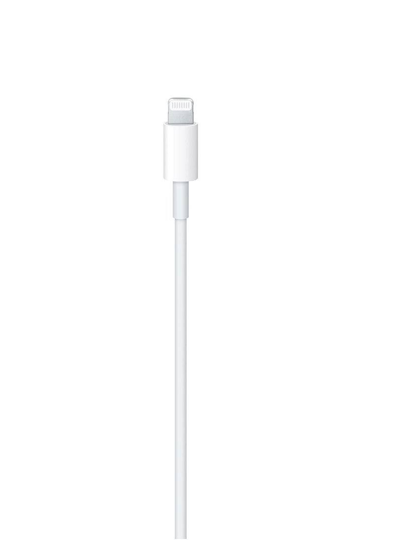 LEDIN - USB C to Lightning Cable-MFi Certified-Compatible with iPhone 13,12,11-Pro Max,X,XS,XR,8,7 Plus/AirPods Pro,Supports Power Delivery,1M,White - Image 1