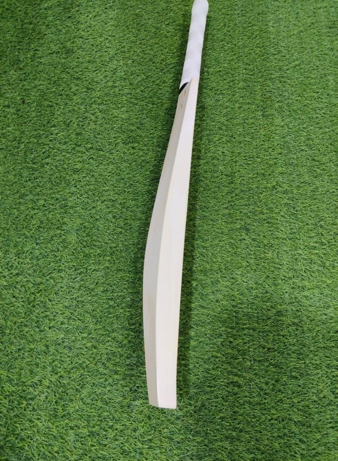 تبلد مضرب كريكيت من خشب الصفصاف الإنجليزي من الدرجة الخامسة من هاي سكور بوس (المقاس 5: للشباب، كرة جلدية) - Image 5