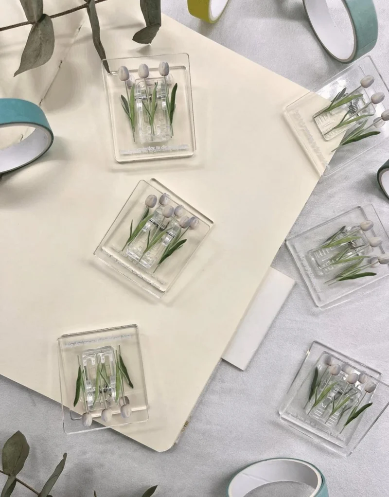 كاغيت جيمي دوكان Paper Ship Shop Transparent White Tulip Patterned Multifunctional Photo Clip / Photo Peg / Paper Clip / Bookmark
