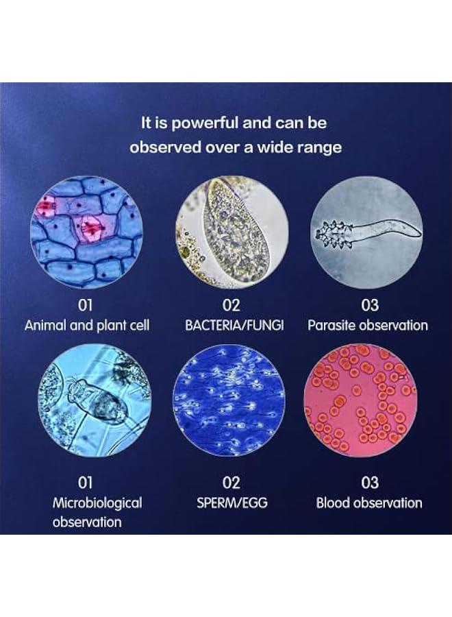 Arabest Compound trinocular Microscope, 40X-5000X Magnification, Digital Laboratory trinocular Compound LED Microscope with USB Camera and Mechanical Stage, WF10x and WF20x eyepieces, Abbe Condenser…  - Image 5
