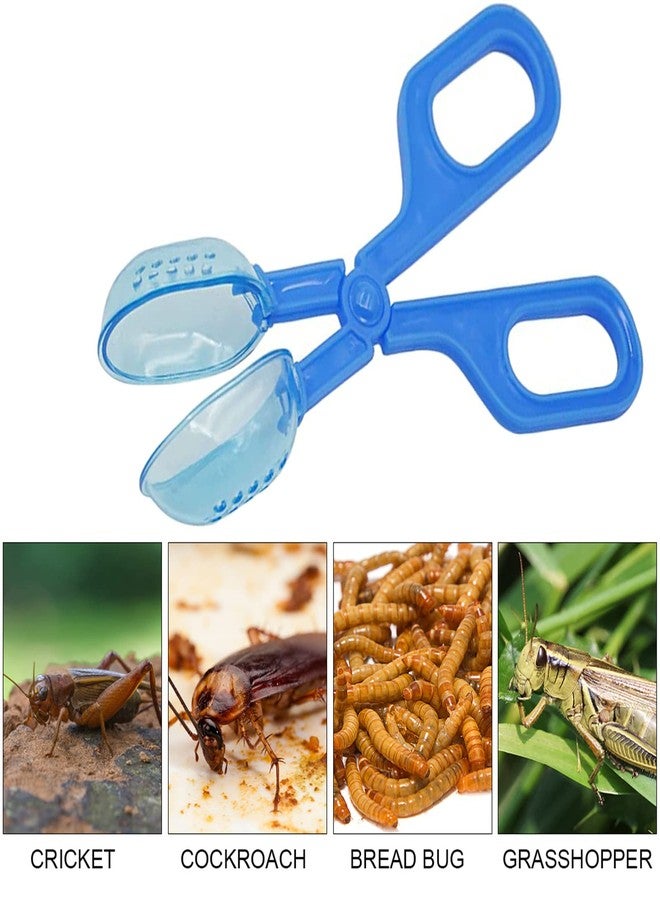 Bilindasly 1PCS Reptile Feeding Blue Cleaning Tool Scooper Feeding Tool Amphibian Terrarium Spider Cricket Feeding Clamp Litter Clamp - Image 5