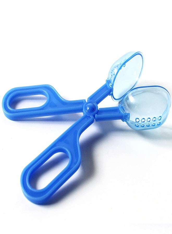Bilindasly 1PCS Reptile Feeding Blue Cleaning Tool Scooper Feeding Tool Amphibian Terrarium Spider Cricket Feeding Clamp Litter Clamp - Image 4