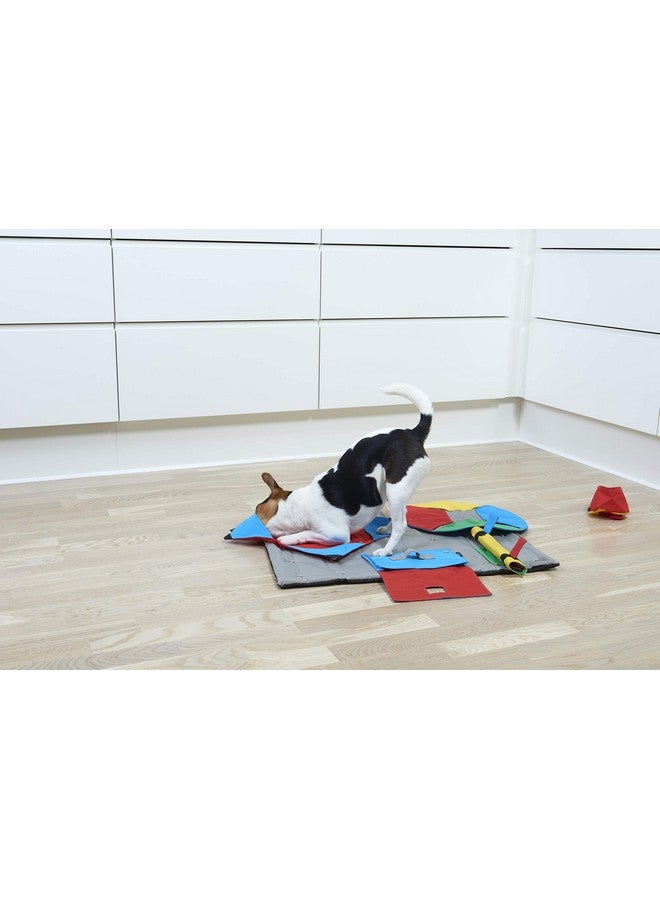 Kruuse Task for Buster Activity Mat, Cone Cloth - Image 4
