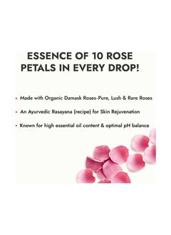 Kapiva Kapiva Organic Rose Water/Gulab Jal Spray (200 ml)  - Image 3