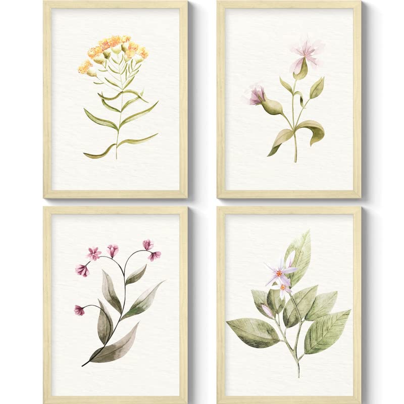 SC CREATIVES Set of 4 Vintage Botany Floral Wall Frame Wall Hangings 16 x 12 Inches Ready To Hang