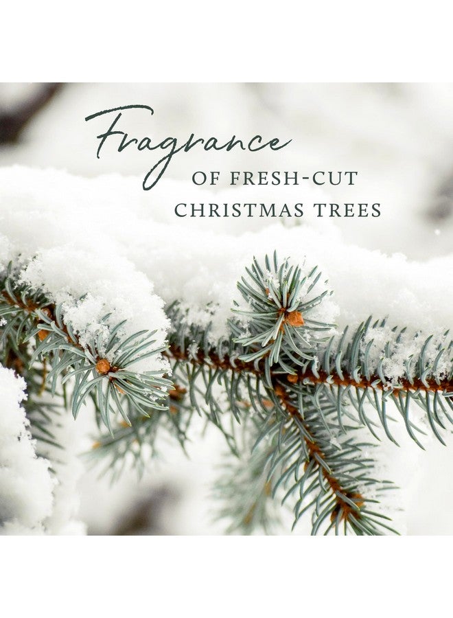 تايمز شمعة Thymes Frasier Fir - شموع برطمان خزفي مطلي بالذهب من خشب الحبوب - شموع برائحة Mountain Fresh - شموع أنيقة للعطلات - شموع بيضاء بحافة من الذهب عيار 24 - شمعة بثلاثة فتيل (كبيرة، 20 أونصة)  - Image 5