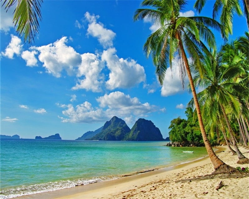 AOFOTO 10x8ft Beach Backdrop Summer Party Tropical Sand Beach Scene Photo Backdrop Hawaii Luau Blue Sky Ocean Palm Tree Seaside Vacation Photography Background Portrait Photoshoot Video Studio Props - Image 1