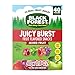 Black Forest Juicy Burst Fruit Flavored Snacks Mixed Fruit Flavors A Juicy Burst of Natural Flavors Made with Real Fruit Juice 08 oz 40 ct - Image 2