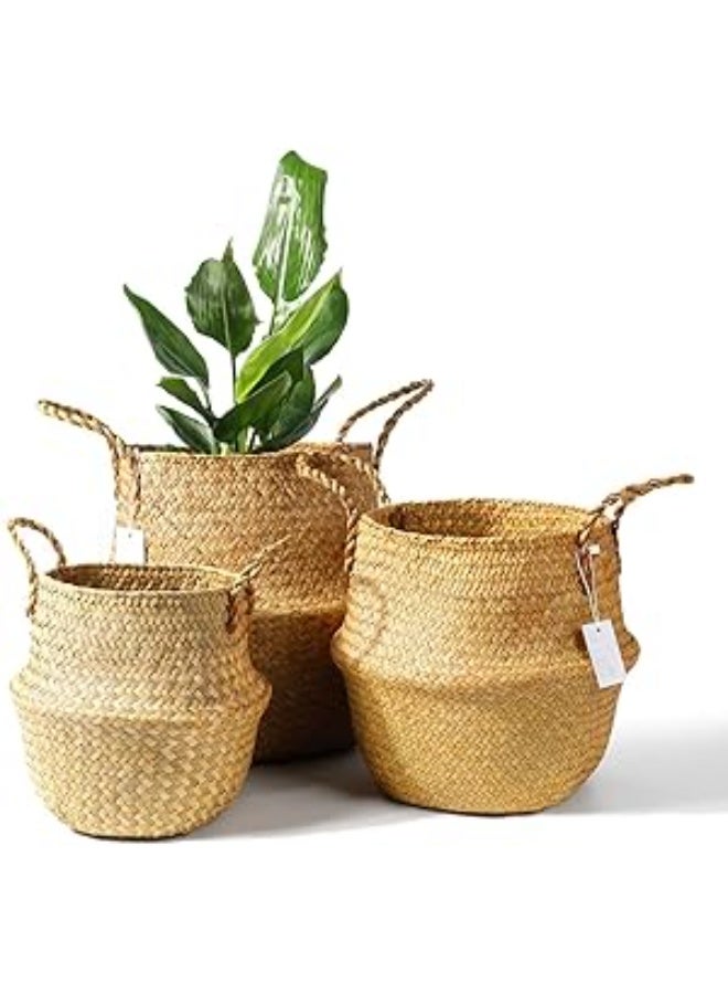 Seagrass Plant Basket Set of 3 - Hand Woven Belly Basket with Handles, Large Storage Laundry Picnic Plant Pot Cover Home Decor & Woven Straw Beach Bag