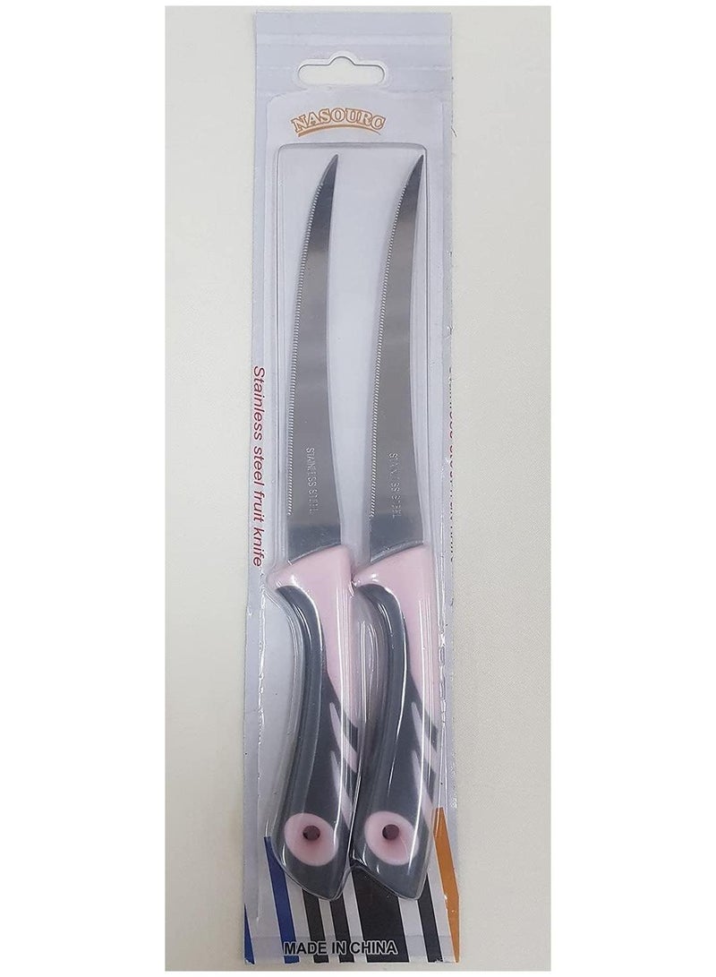 Stainless steel knife with comfortable handle set of 2 - multi color