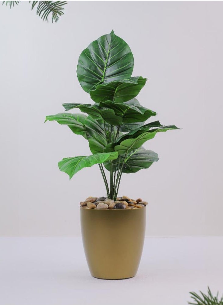 Cady One An artificial and decorative Alocasia platyphylla tree with a golden pot  - Image 1
