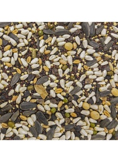 HigginS Higgins 3 Pack of Sunburst Soak n' Sprout Seeds with Quinoa for Small Birds, 3 Ounces Each  - Image 2