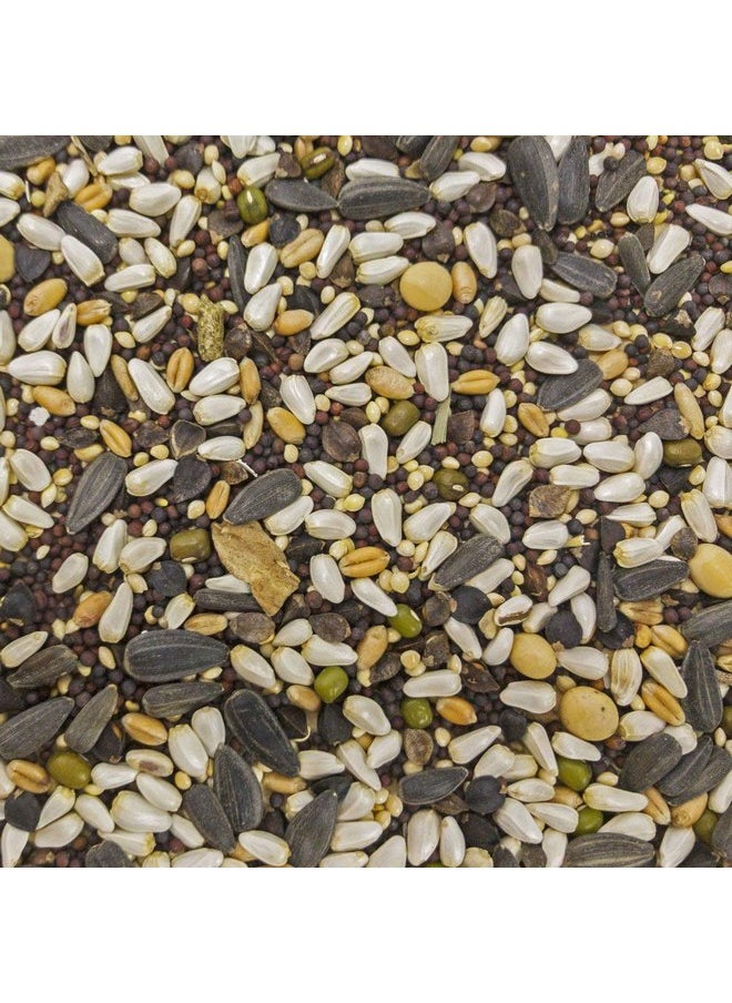 HigginS Higgins 3 Pack of Sunburst Soak n' Sprout Seeds with Quinoa for Small Birds, 3 Ounces Each  - Image 2