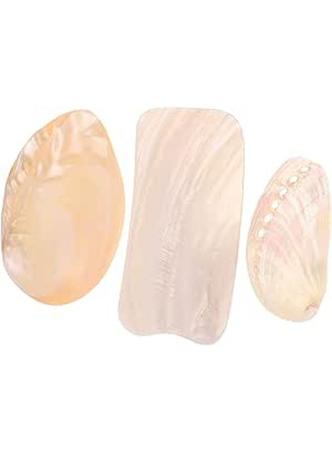 3pcs Natural Seashells for Jewelry Display Necklace Bracelet Photography Props - Image 1