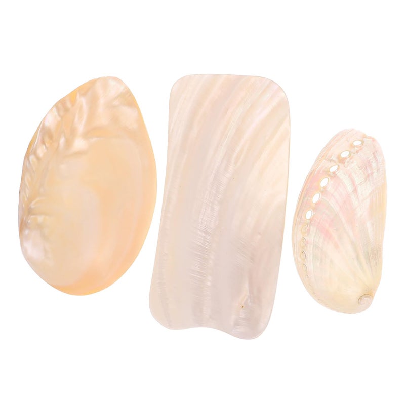 3pcs Natural Seashells for Jewelry Display Necklace Bracelet Photography Props - Image 2