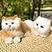 Basuo-9Q Pack of 2 Realistic Furry Baby Cats Figurines Simulation KittensSynthetic Fur Pet Stuffed House Animal ReplicaPhoto PropsCollectible Gift OrangeWhite - Image 2
