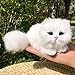 Basuo-9Q Pack of 2 Realistic Furry Baby Cats Figurines Simulation KittensSynthetic Fur Pet Stuffed House Animal ReplicaPhoto PropsCollectible Gift OrangeWhite - Image 4
