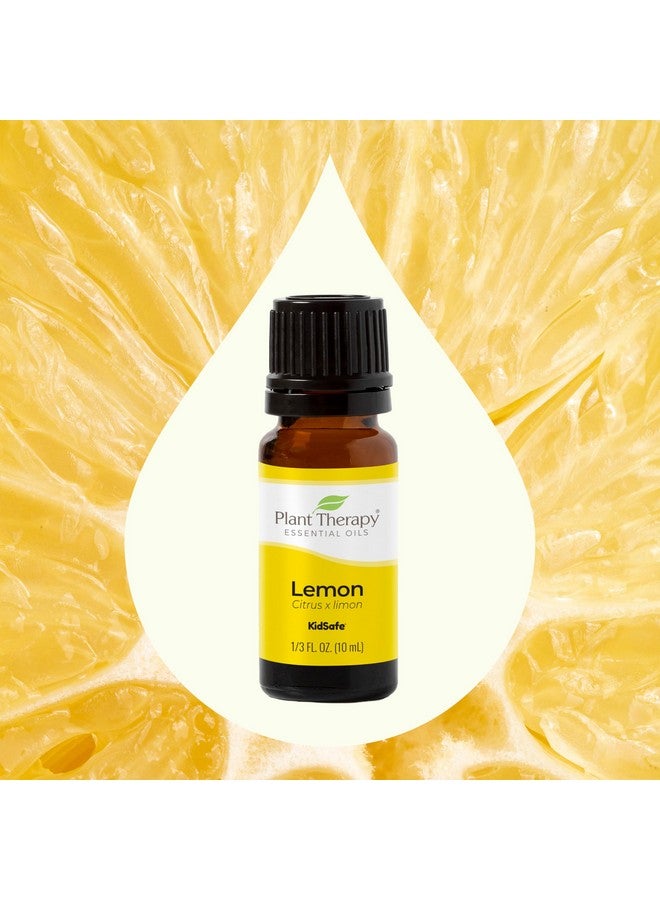 Plant Therapy Lemon Essential Oil for Diffusing, 10 mL (1/3 oz) 100% Pure, Undiluted, Natural Aromatherapy, Lemon Oil for Skin, Lemon Oil for Cleansing, Energizing & Uplifting, Therapeutic Grade - Image 3