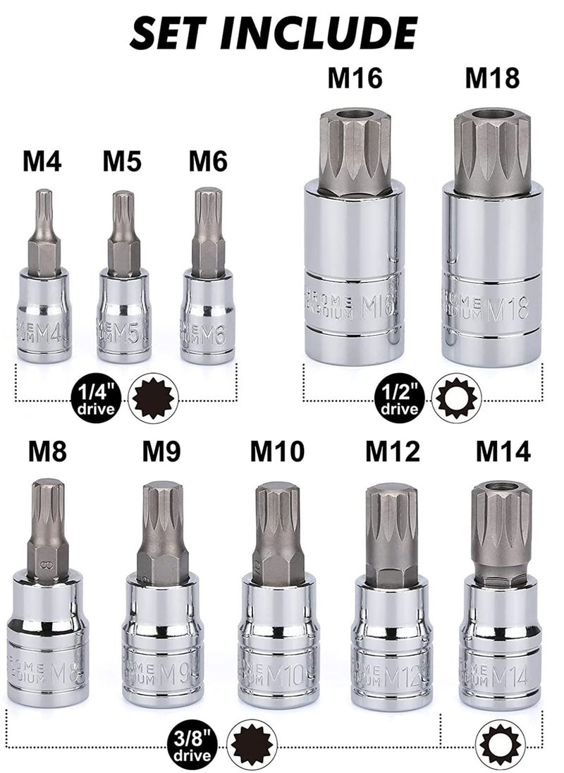 Spline Socket Bit Set 10pcs Square Triple Silver M4 - M18
