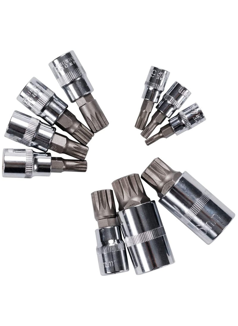 Spline Socket Bit Set 10pcs Square Triple Silver M4 - M18