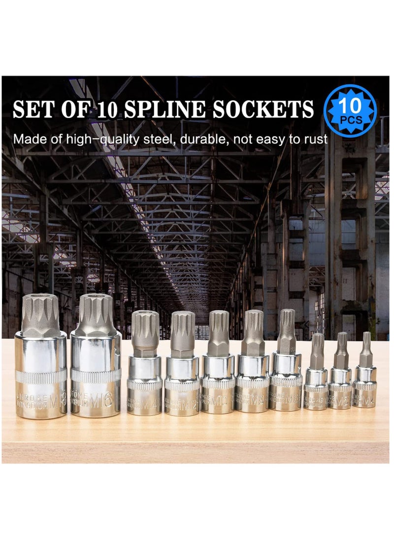Spline Socket Bit Set 10pcs Square Triple Silver M4 - M18