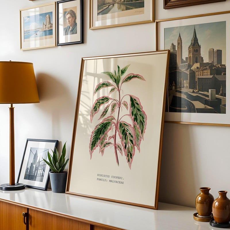 TNESSENTIAL Botanical Wall Art Print, Variegated Leaf Poster, Vintage Plant Art for Tropical Homes – Variegated Hibiscus (Hibiscus cooperi) - Image 3