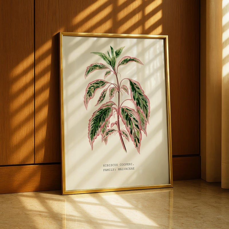 TNESSENTIAL Botanical Wall Art Print, Variegated Leaf Poster, Vintage Plant Art for Tropical Homes – Variegated Hibiscus (Hibiscus cooperi) - Image 2