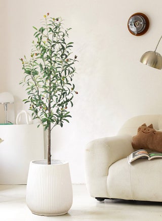 Green-5