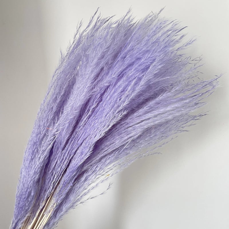 Bluejw Dried Pampas Grass Decor - Fluffy Reed Plumes Small Pampas Grass Decorative Flowers Dried Plants Home Wedding Boho Decor - Image 1
