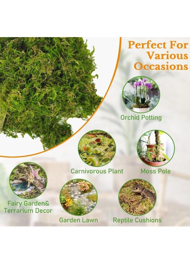 Dried Forest Moss For Potted Plants Moss,150g Natural Moss Potting Mix Indoor Ideal Moist Repotting Sphagnum Orchid Soil Medium, Terrarium Decor, Natural Reptile Vine - Image 4