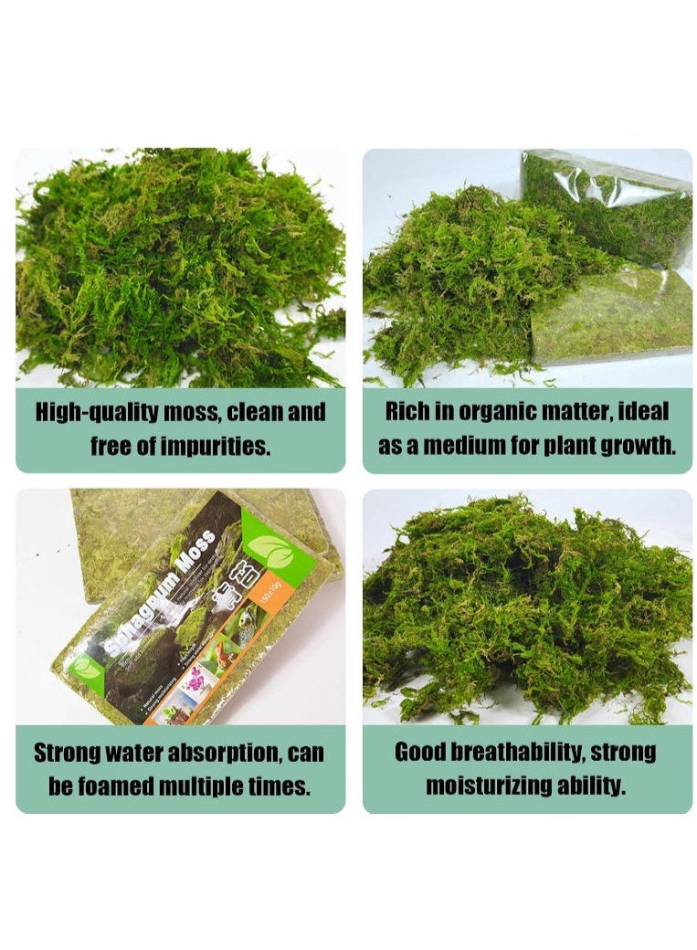 Dried Forest Moss For Potted Plants Moss,150g Natural Moss Potting Mix Indoor Ideal Moist Repotting Sphagnum Orchid Soil Medium, Terrarium Decor, Natural Reptile Vine - Image 3