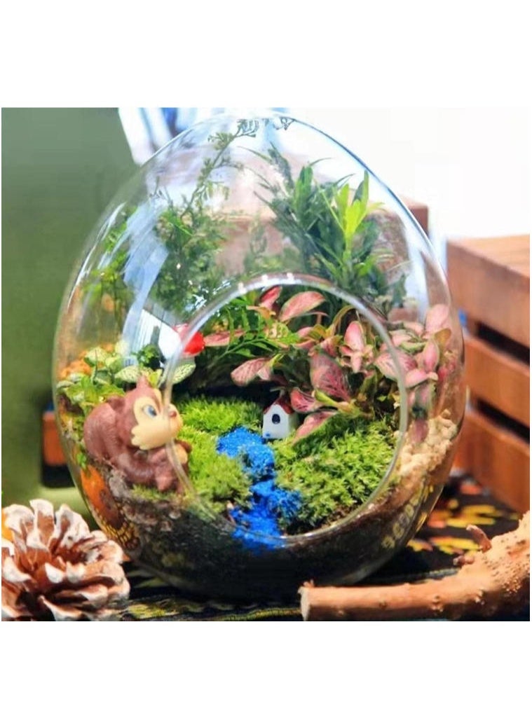 Dried Forest Moss For Potted Plants Moss,150g Natural Moss Potting Mix Indoor Ideal Moist Repotting Sphagnum Orchid Soil Medium, Terrarium Decor, Natural Reptile Vine - Image 2