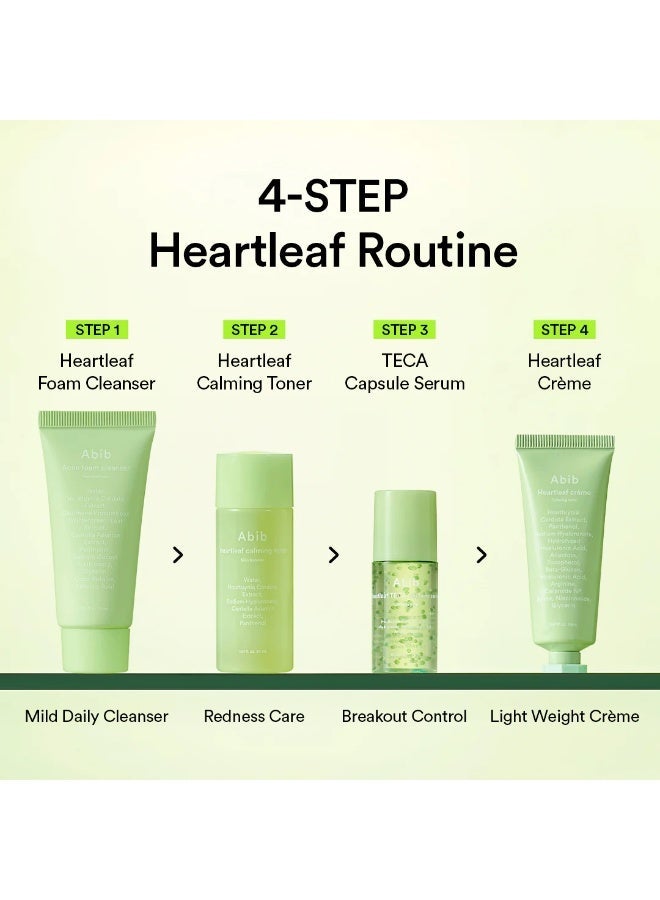 ابيب [Abib] Heartleaf Calming Trial Kit - Image 4