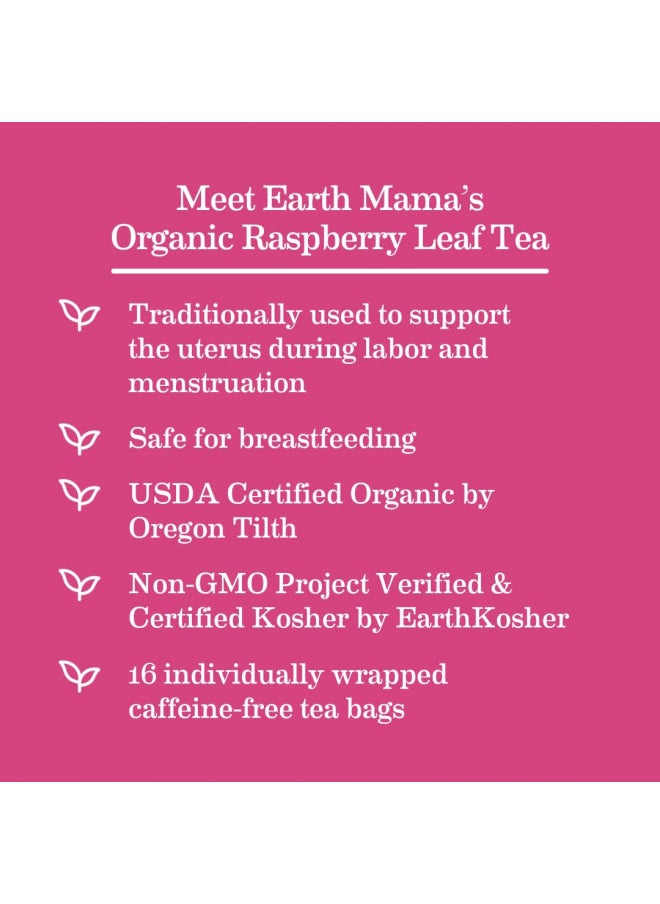 Earth Mama Organic Raspberry Leaf Tea Bags |Labor Tonic + Menstrual Support, 16 Teabags Per Box