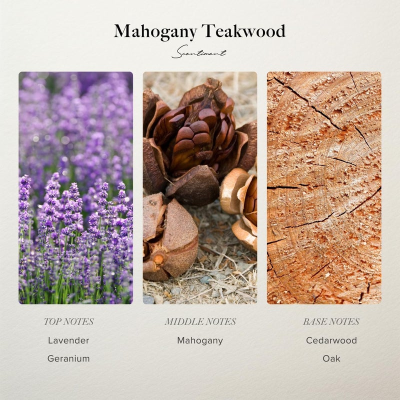 Scentiment Mahogany Teakwood Diffuser Oil – Premium Hotel Scent with Notes of Lavender, Mahogany & Cedarwood Home Scent, Hotel Fragrance Oil Diffuser Refill - 0.68 fl oz (20 mL) - Image 2