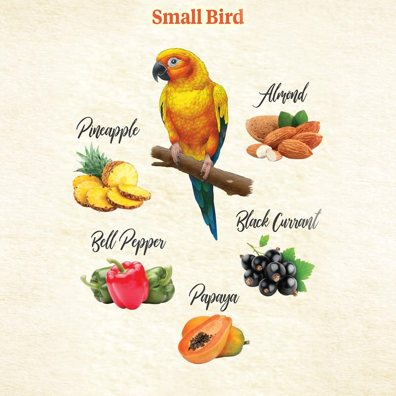 Kaytee Food From The Wild Natural Snack Food Treats For Pet Birds, 3 oz - Image 4