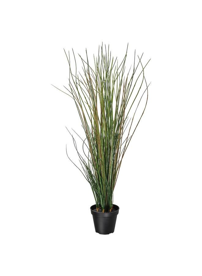 erorex Artificial Potted Plant, Grass, 17 Cm  - Image 1