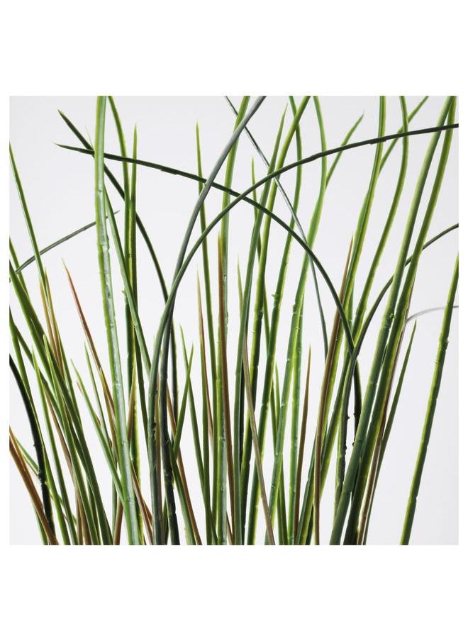 erorex Artificial Potted Plant, Grass, 17 Cm  - Image 4