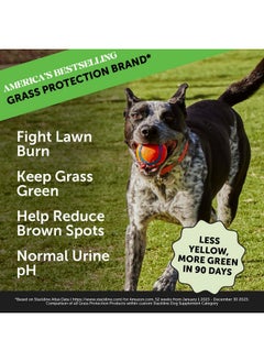 Pet Honesty Grass Green Dog Chews - Urine Neutralizer for Lawn, Dog Pee Grass Helps Yard Stay Green Addressing Burn Spots with Probiotics & Enzymes  - Image 2