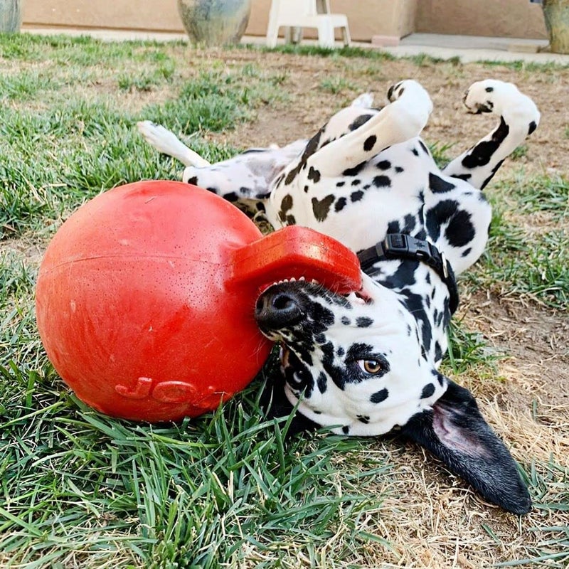 Jolly Pets Tug-n-Toss Dog Toy Ball with Handle, 10" XL, Red - Image 2